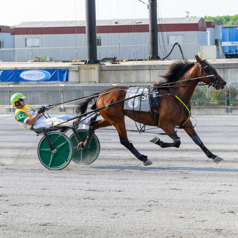 Harrington Raceway – Harrington Raceway